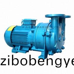 2BV5111型水(shui)環(huán)式真(zhen)空泵(beng)